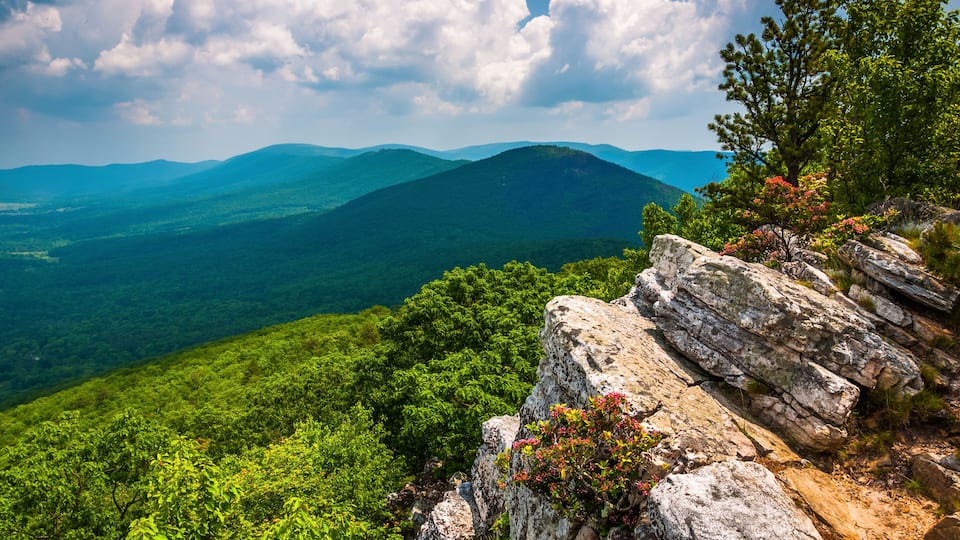 View of the Trout Run Valley from Tibbet Knob, in George Washington National Forest, West Virginia., Shutterstock ID 150124022, purchase_order: SP-1269 HA 2018 Batch 1, Order: , client: , other: