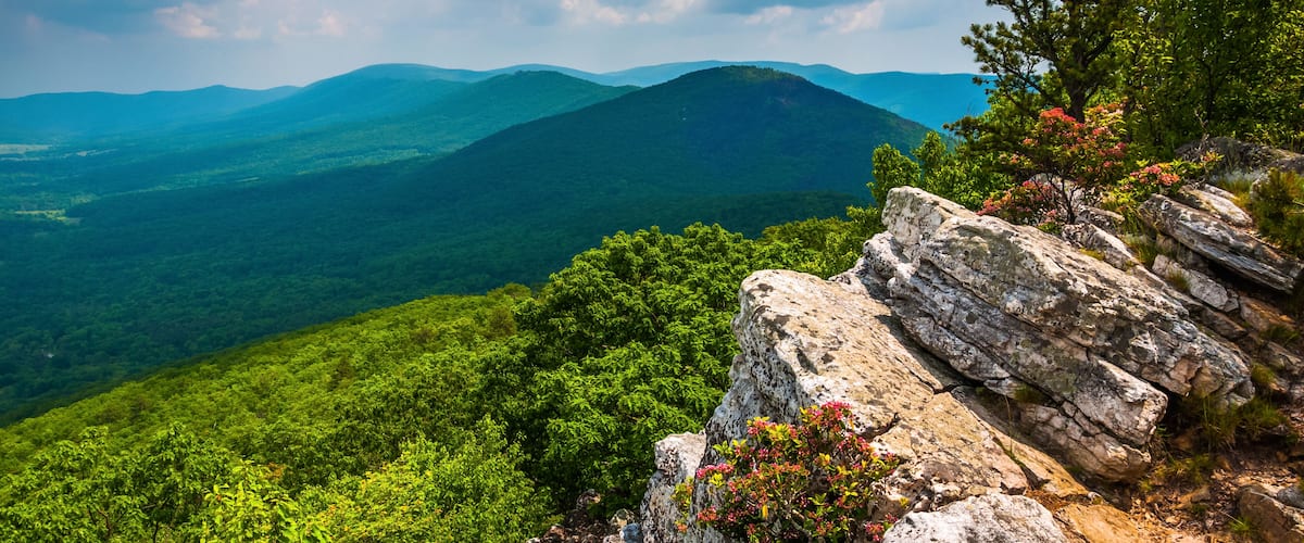 View of the Trout Run Valley from Tibbet Knob, in George Washington National Forest, West Virginia., Shutterstock ID 150124022, purchase_order: SP-1269 HA 2018 Batch 1, Order: , client: , other: