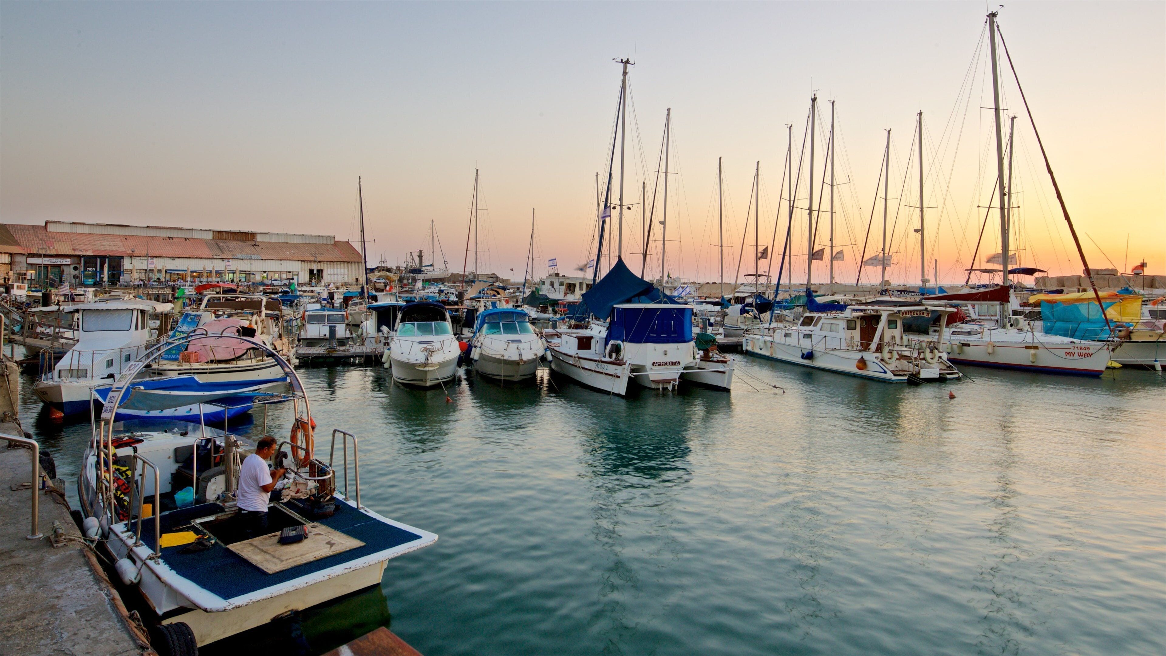 Jaffa Port featuring a sunset and a bay or harbor