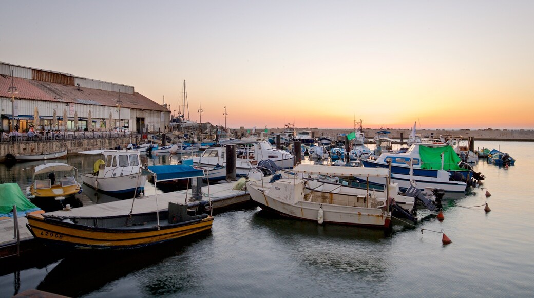 Jaffa Port which includes a bay or harbour and a sunset