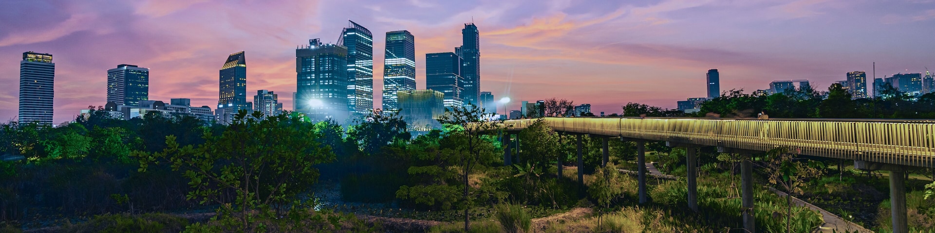 sunset over benjakitti forest park in bangkok: modern city skyline and green urban nature landscape