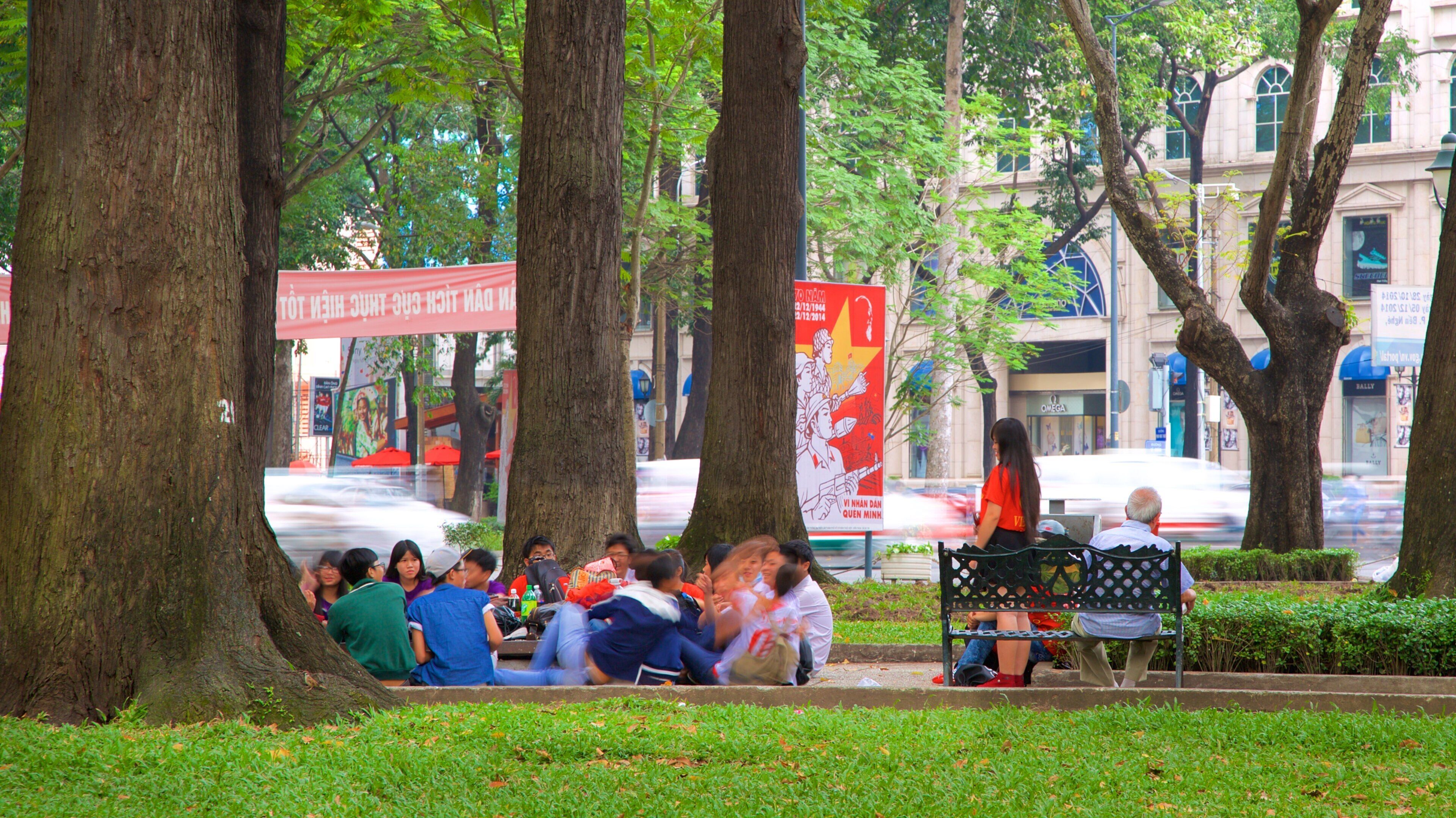 Diamond Plaza mostrando un parque