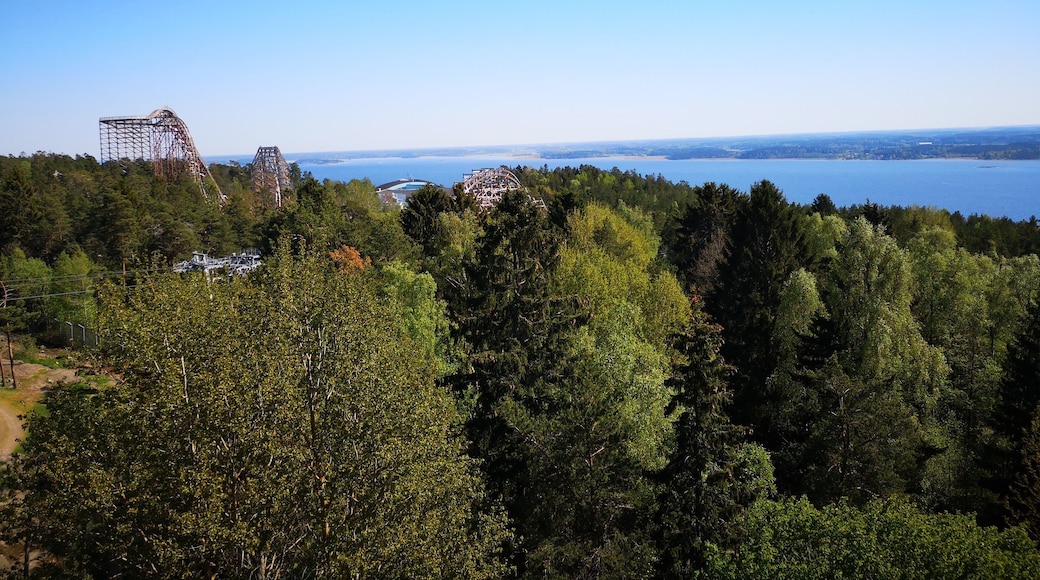 We were taking a tour in the zoo