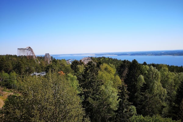 We were taking a tour in the zoo