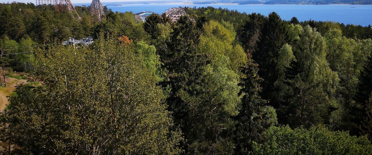 A coastal landscape with a roller coaster, dense forest, and a clear view of the ocean.