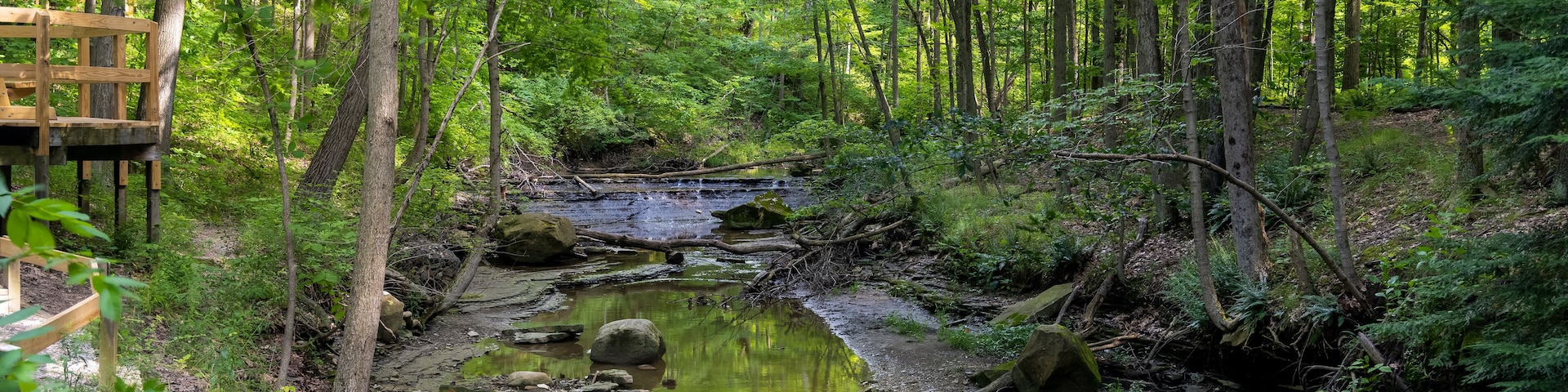 Scenic landscape of Tinkers creek in Ohio, backlit forest.