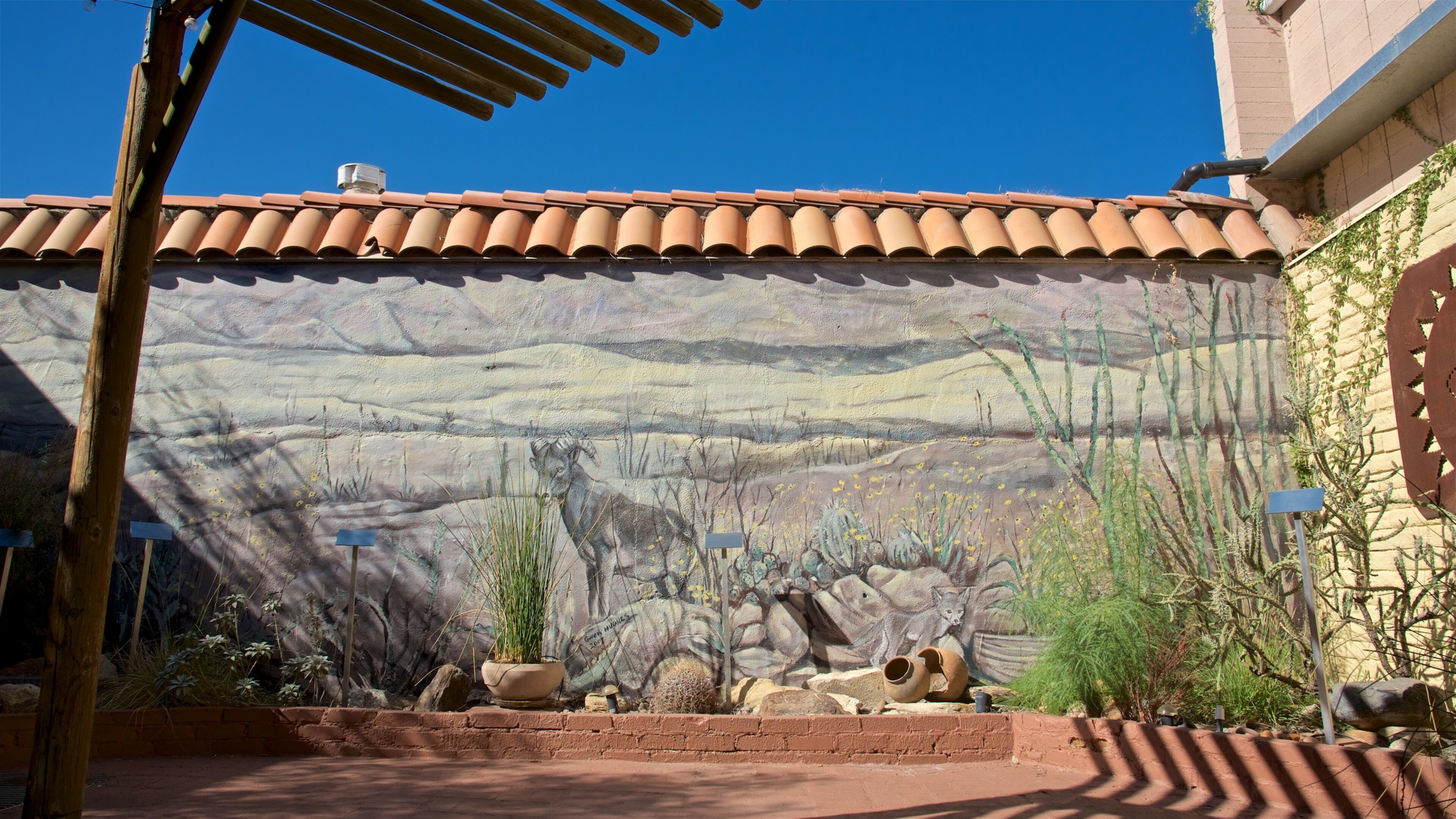 Agua Caliente Cultural Museum showing outdoor art