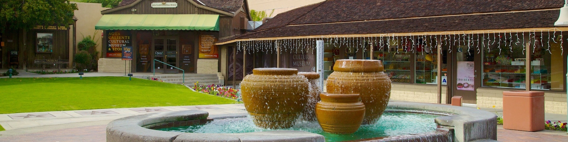 Agua Caliente Cultural Museum showing landscape views