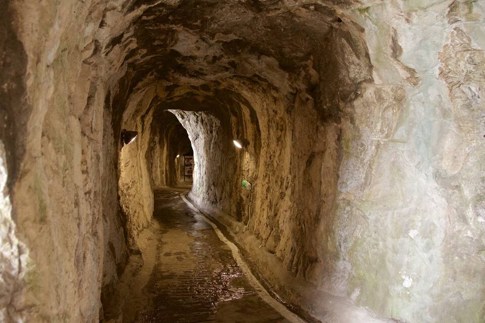 A narrow, dimly lit tunnel with rough, uneven walls and a wet floor.