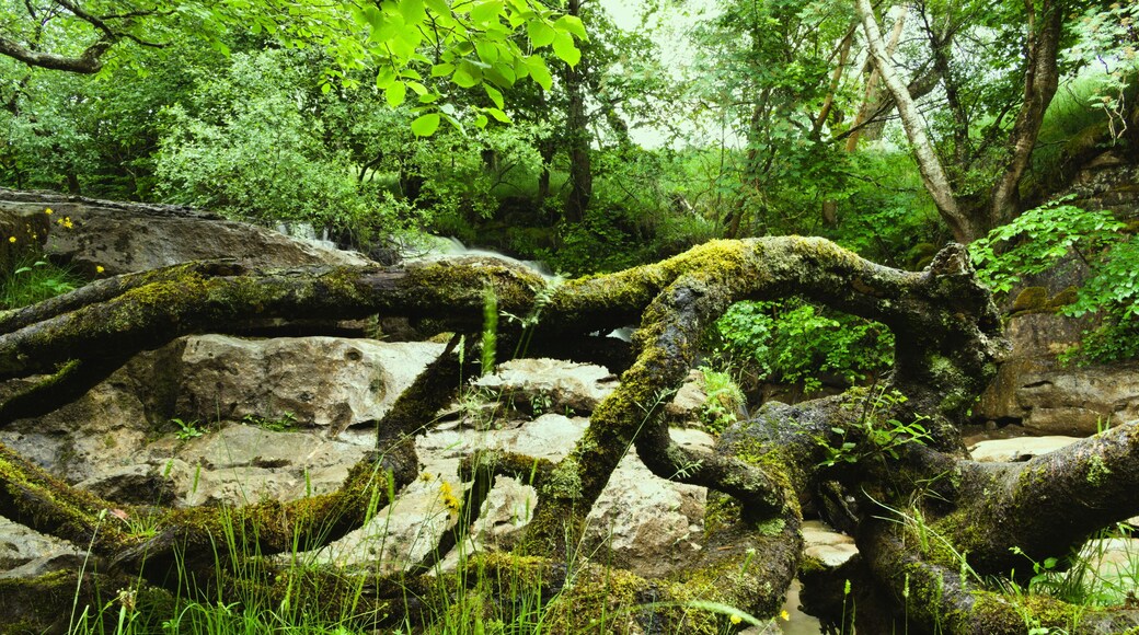 Chattahoochee River nasjonale rekreasjonsområde