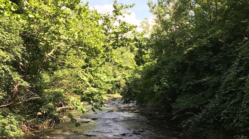 Even the smallest parks can be enjoyed, Grant Park is small but has a few trails and you can explore the bird trail or just hang at the waters edge!
#TakeAHike or a swim