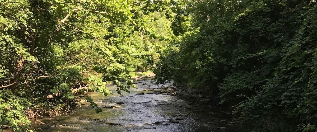 Even the smallest parks can be enjoyed, Grant Park is small but has a few trails and you can explore the bird trail or just hang at the waters edge!
#TakeAHike or a swim