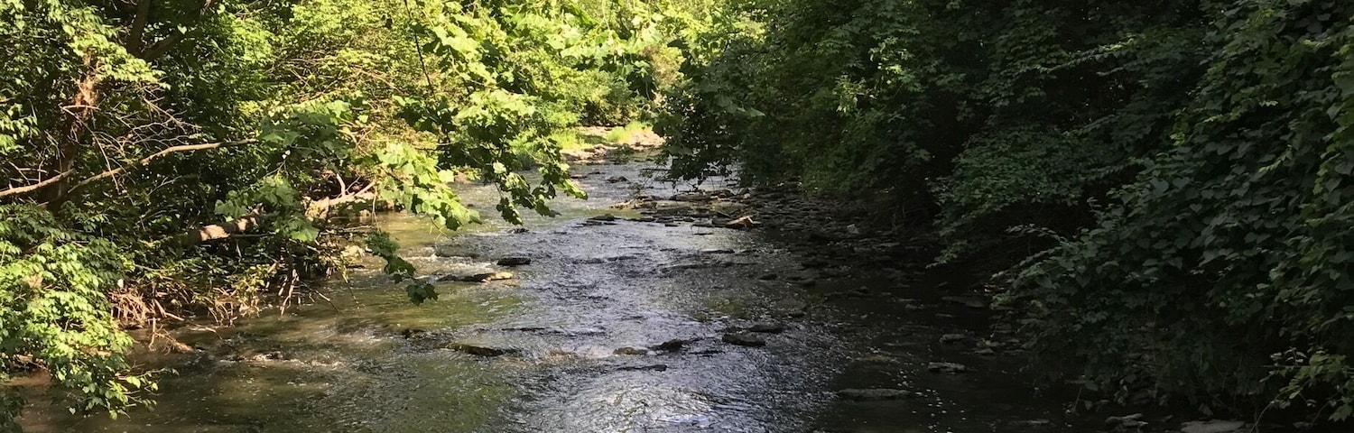 Even the smallest parks can be enjoyed, Grant Park is small but has a few trails and you can explore the bird trail or just hang at the waters edge!
#TakeAHike or a swim