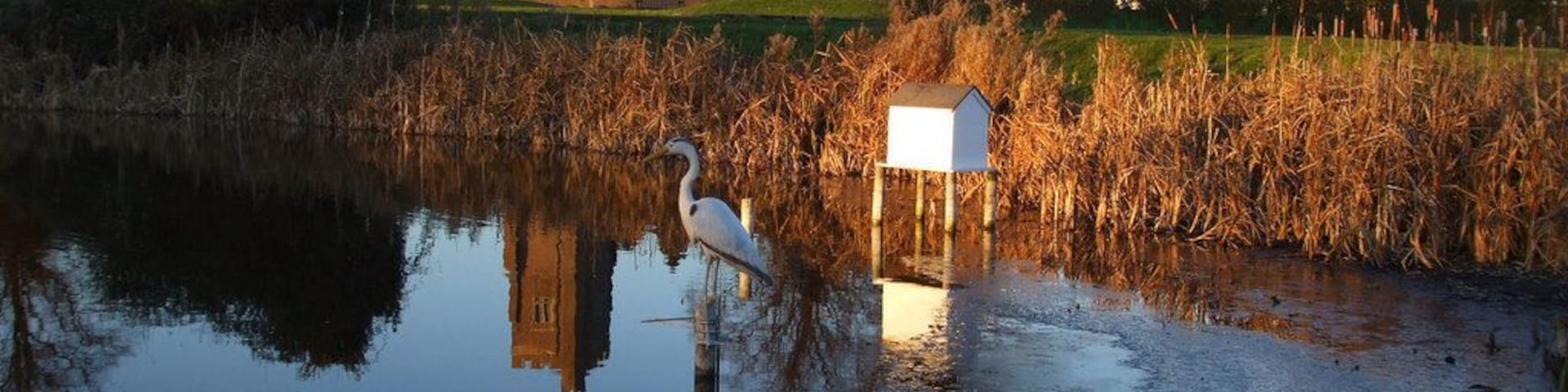 Rochford Golf Course