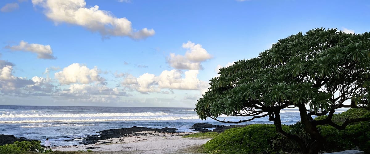 A beach with waves, a tree, and rocky terrain.