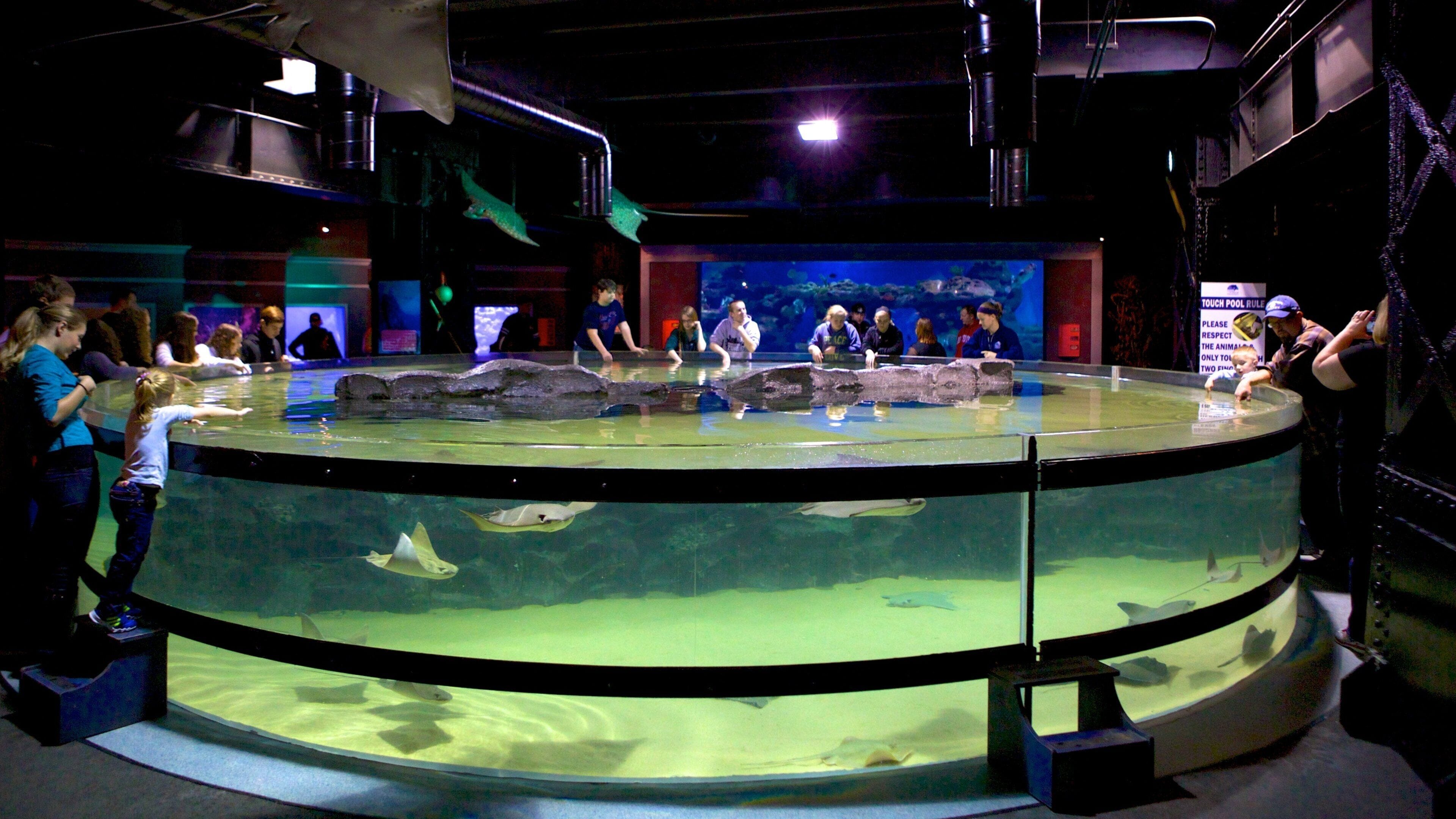 Greater Cleveland Aquarium which includes marine life and interior views