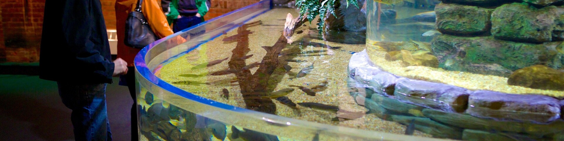 Greater Cleveland Aquarium featuring marine life and interior views as well as a small group of people