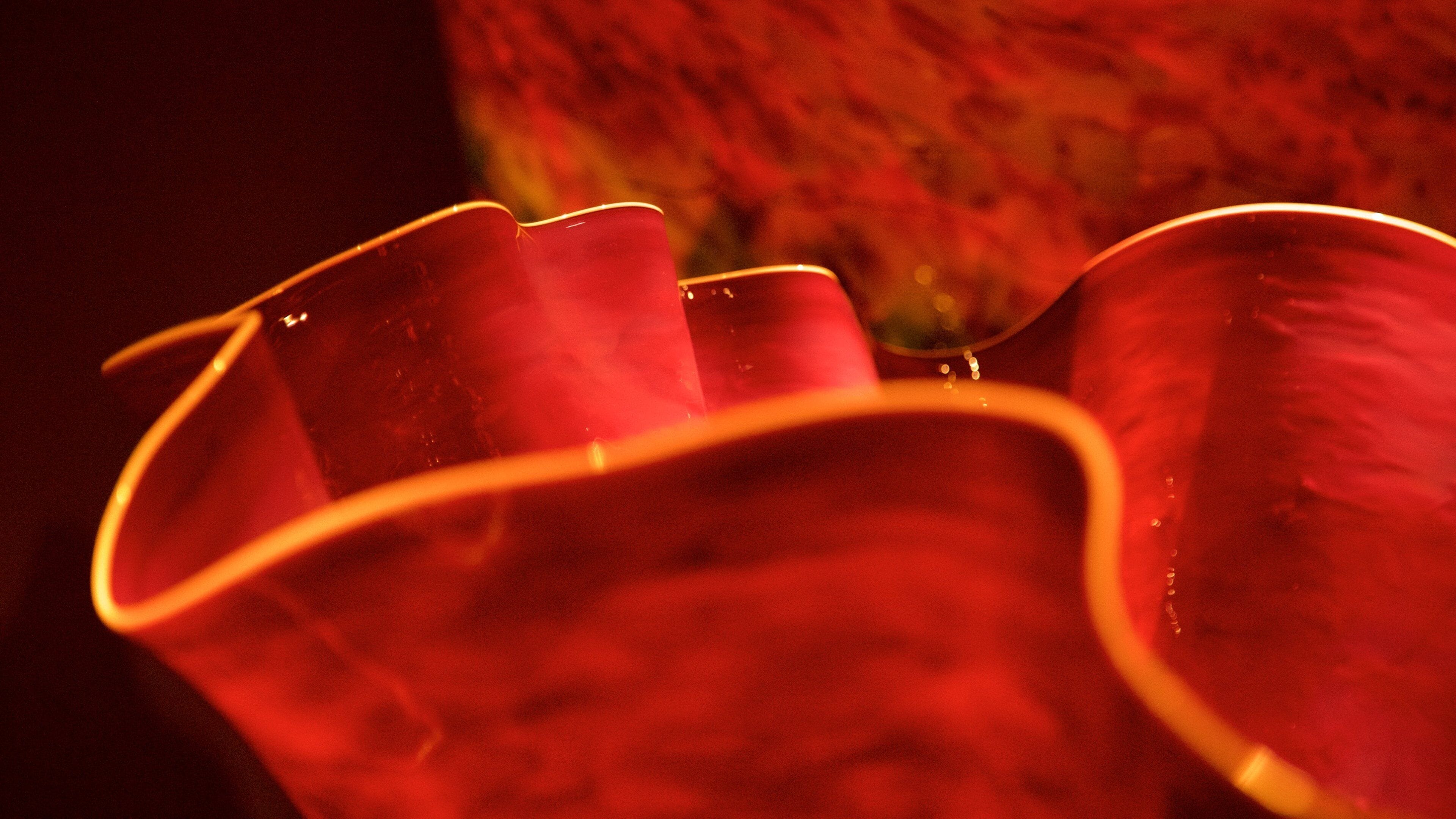 Dale Chihuly Glass Museum showing interior views and art