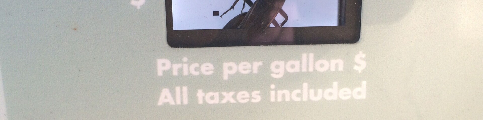 How in the world did he get in there?