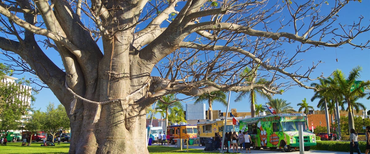 The ArtsPark at Young Circle