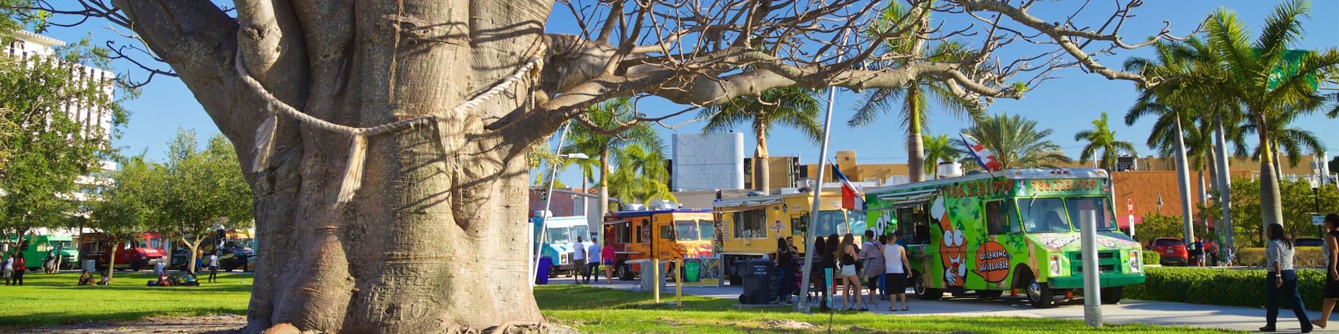 The ArtsPark at Young Circle