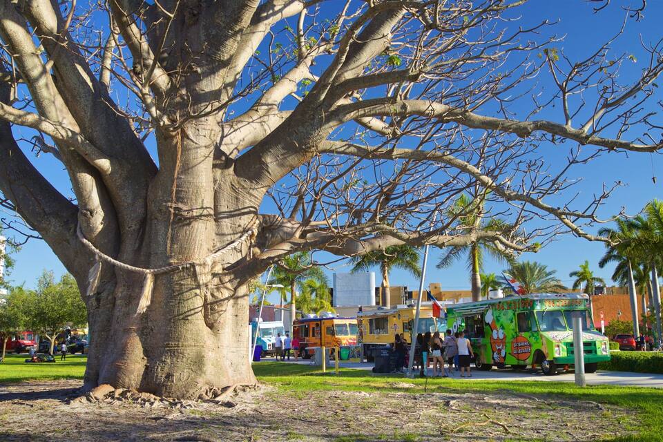 A large tree in a park with people and food trucks in the background.