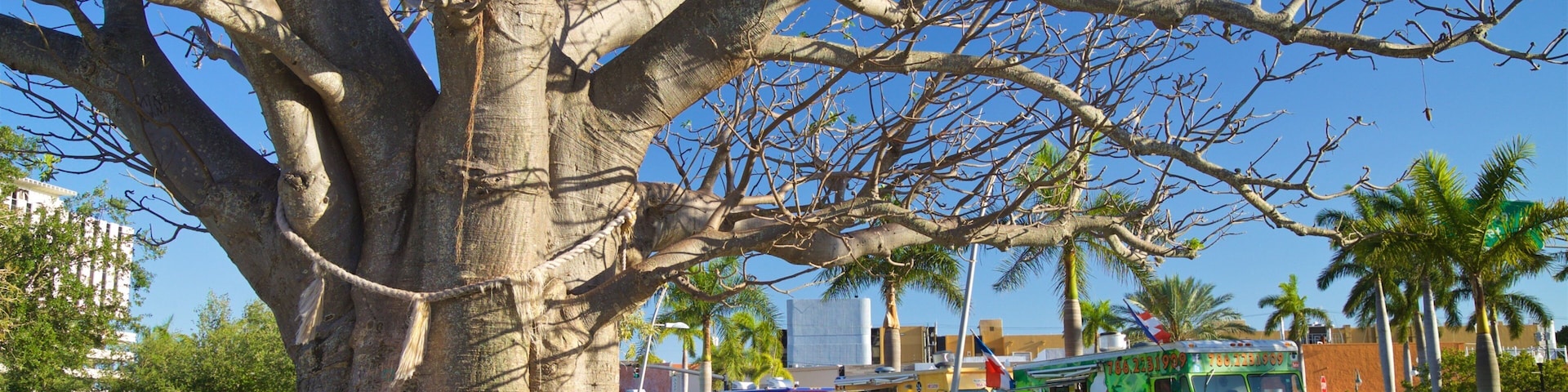 The ArtsPark at Young Circle