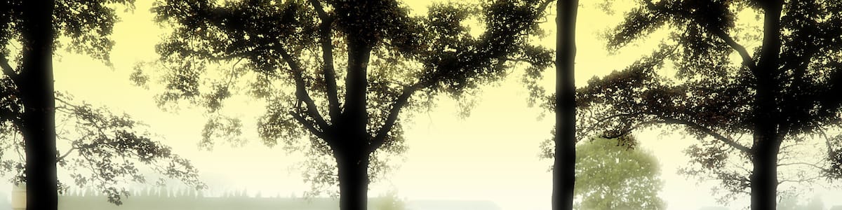 Langemarck German Cemetery Flanders.
Containing the remains of over 44.000 German soldiers. The stone crosses are symbolic and do not contain burials.
The flat stones signify a resting place, sometimes containing eight people. As the Belgians were very grudging after WW1 , to give up any land , for the Germans.
#OnTheRoad