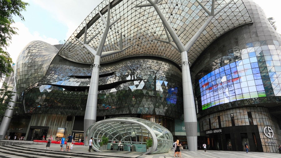 ION Orchard (centre commercial et de loisirs)