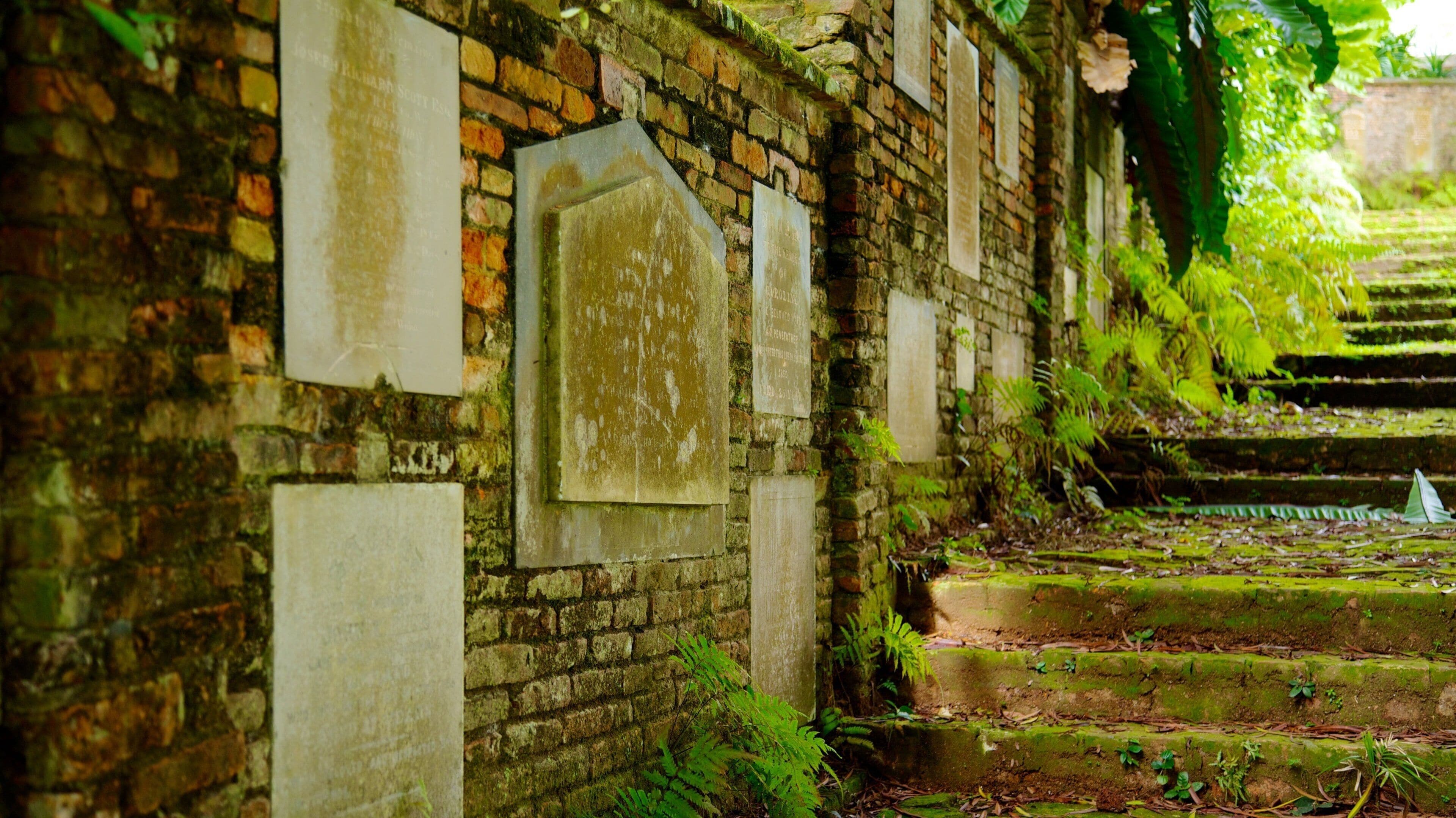 Fort Canning Park which includes heritage architecture