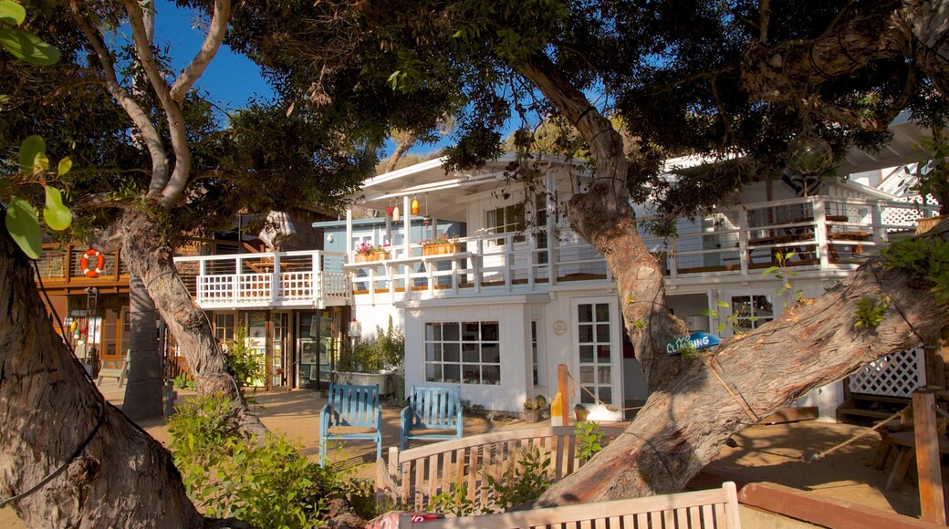 Crystal Cove State Park qui includes jardin