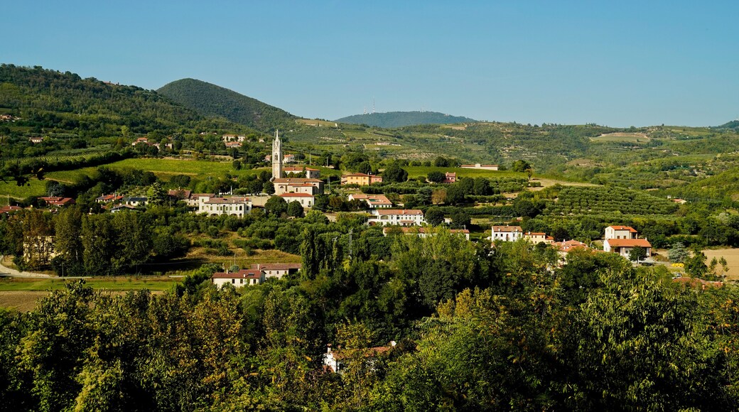 Parque Regional de Colli Euganei