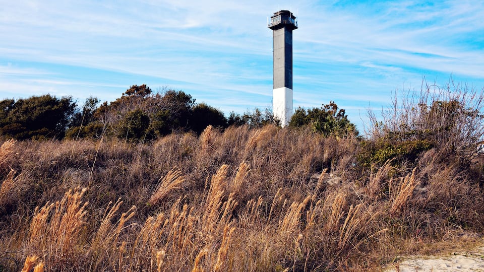 A lighthouse on a hill with dry grass and trees in the foreground.