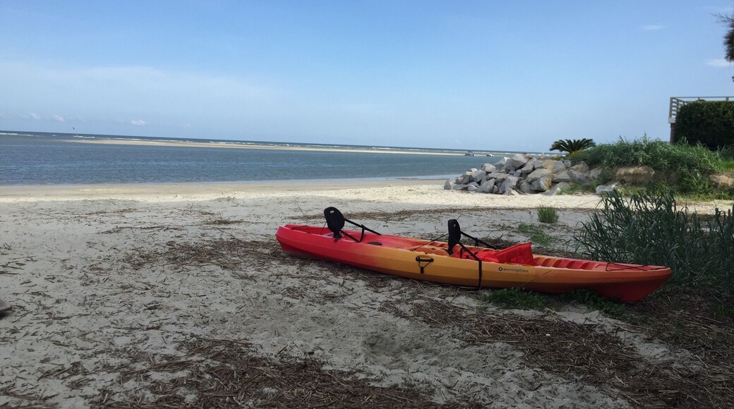 Kayaking out to the island off Sullivan's... So perfect. Dolphins everywhere!
