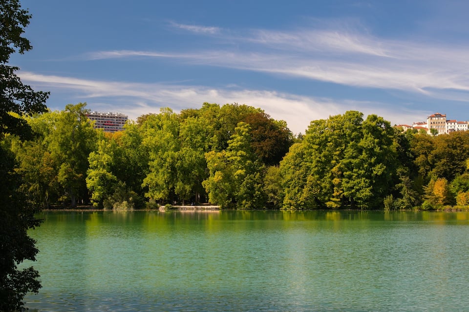 A lake surrounded by dense green trees and buildings in the background.