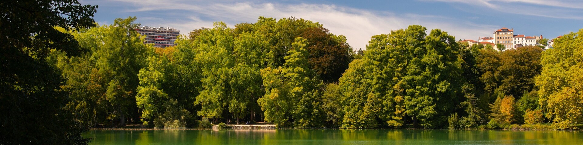 Un lago rodeado de árboles verdes y edificios al fondo.
