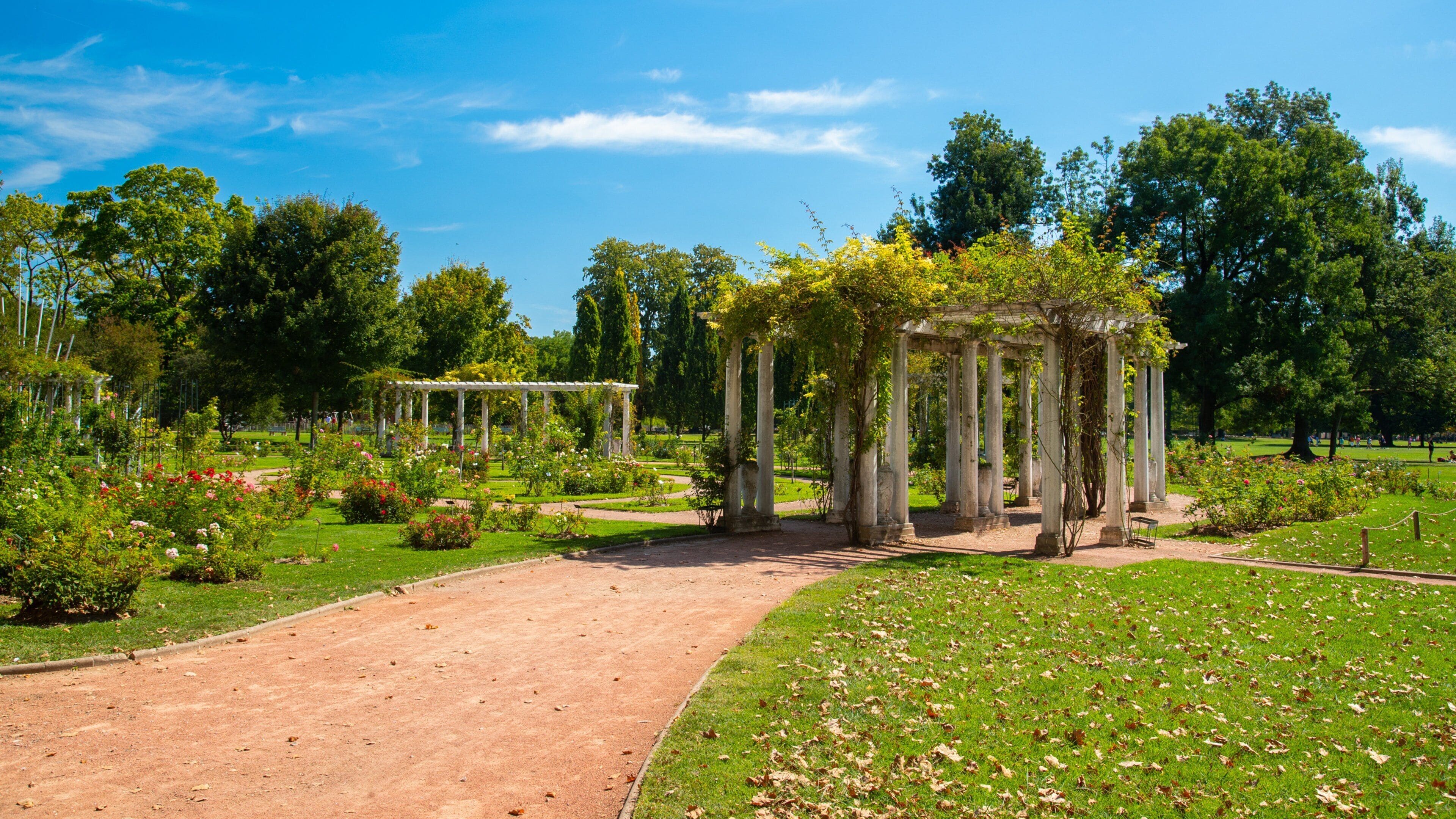 A park with a pergola, lush greenery, and a clear blue sky.