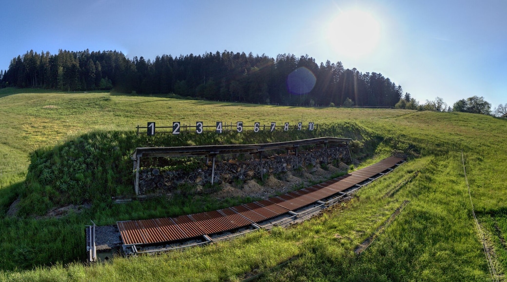 Kugelfanganlage im Emmental