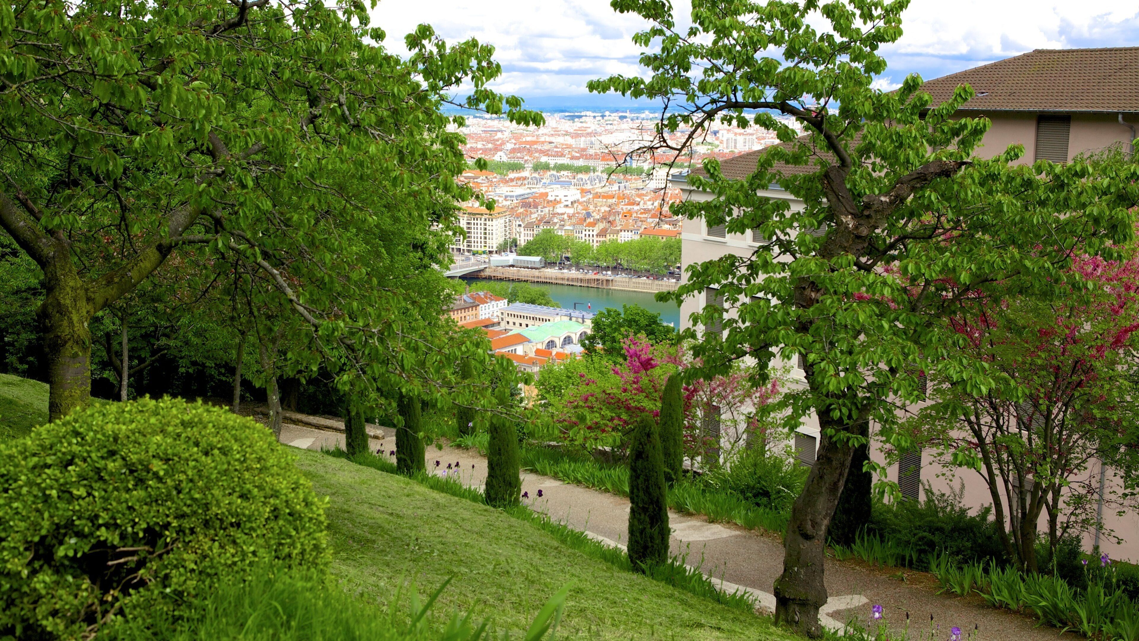 Old Lyon showing a garden