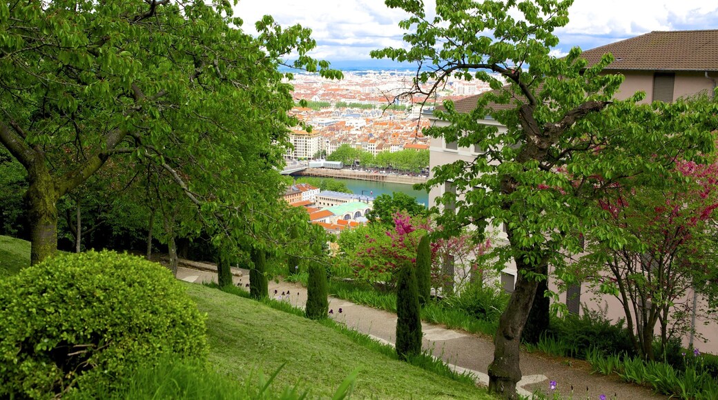 Old Lyon showing a garden