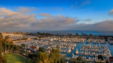 A marina filled with boats, a coastal town with buildings, and a clear sky.