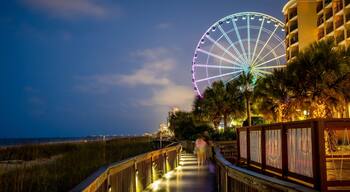 SkyWheel Myrtle Beach showing night scenes