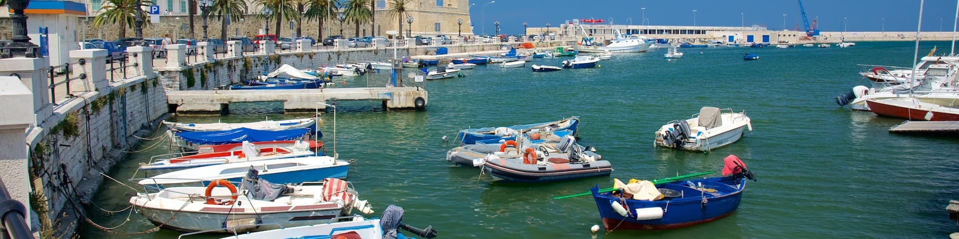 Bari Harbor featuring a bay or harbor