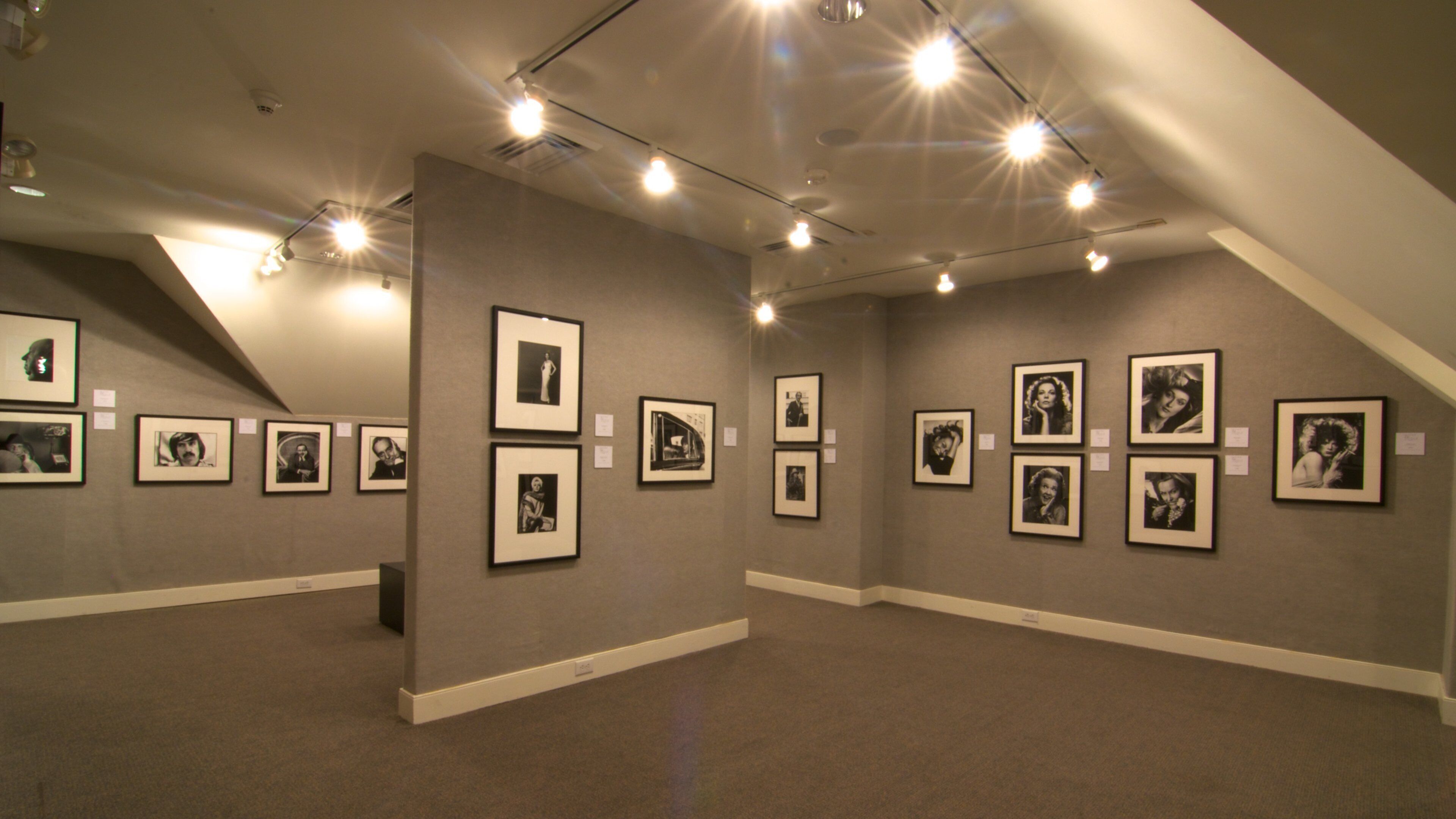 Art Museum of Myrtle Beach showcases diverse photography in an inviting gallery