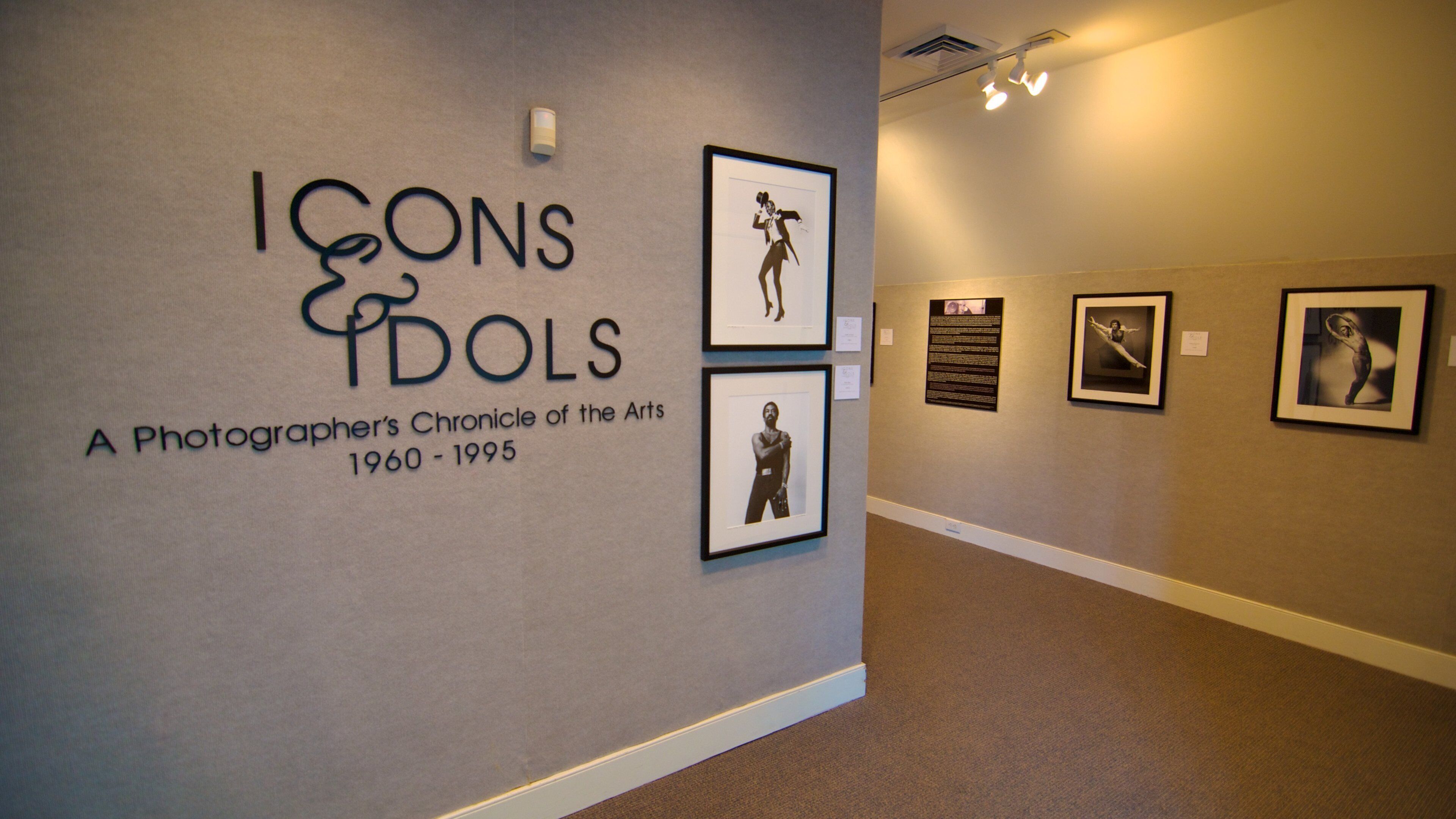 Explore the Icons and Idols exhibition at the Art Museum of Myrtle Beach showcasing photography from 1960 to 1995