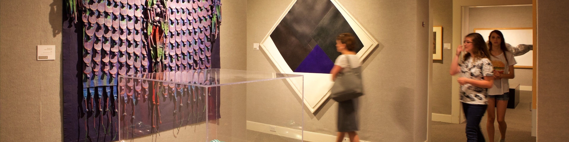 Art Museum of Myrtle Beach mettant en vedette vues intérieures et art aussi bien que petit groupe de personnes