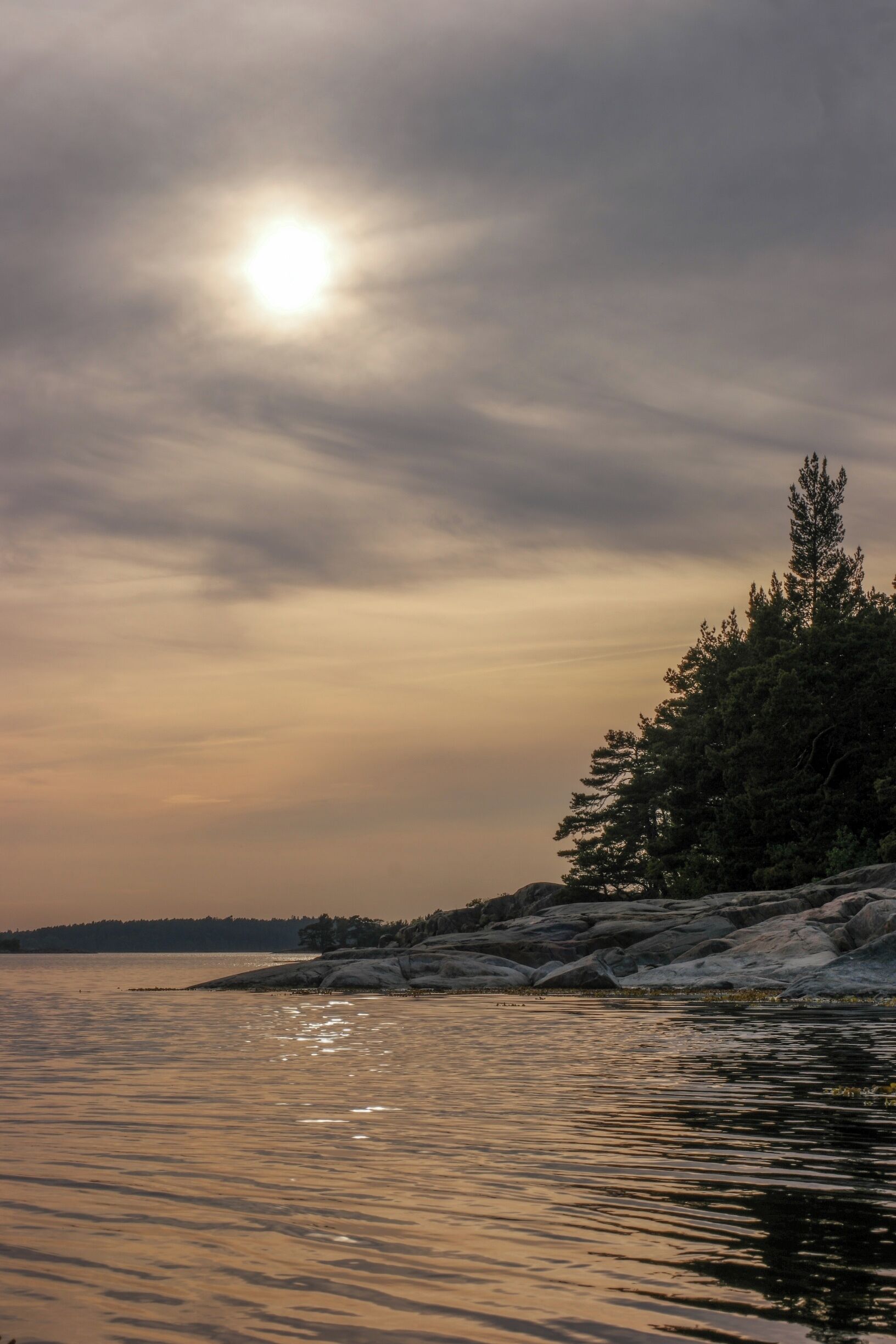 This nature reserve is only 95 km from Stockholm. No buildings, just nature and birds.