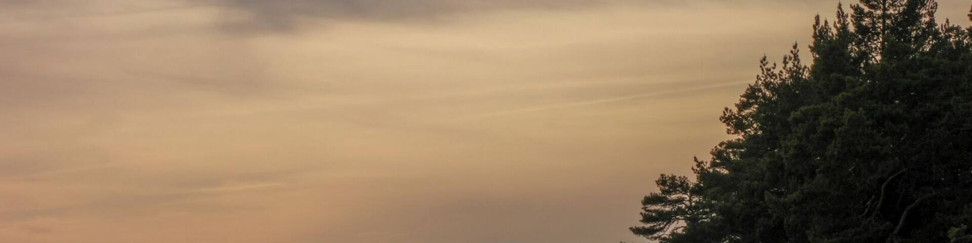 This nature reserve is only 95 km from Stockholm. No buildings, just nature and birds.