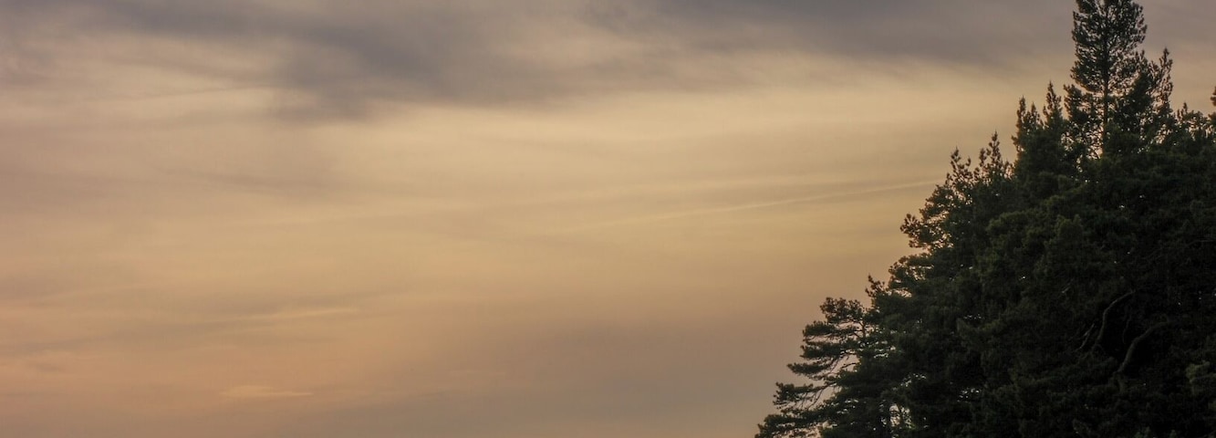 This nature reserve is only 95 km from Stockholm. No buildings, just nature and birds.