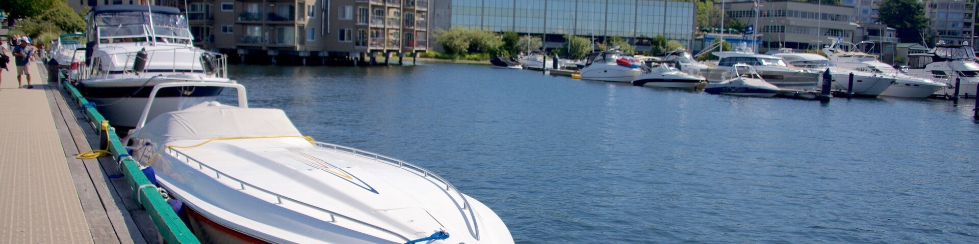 Marina Park showing boating, a marina and a lake or waterhole